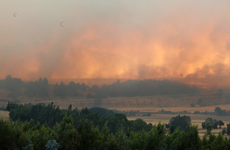 Siguen las evacuaciones por incendio forestal en La Araucanía: el fuego amenaza a zonas pobladas de Traiguén 