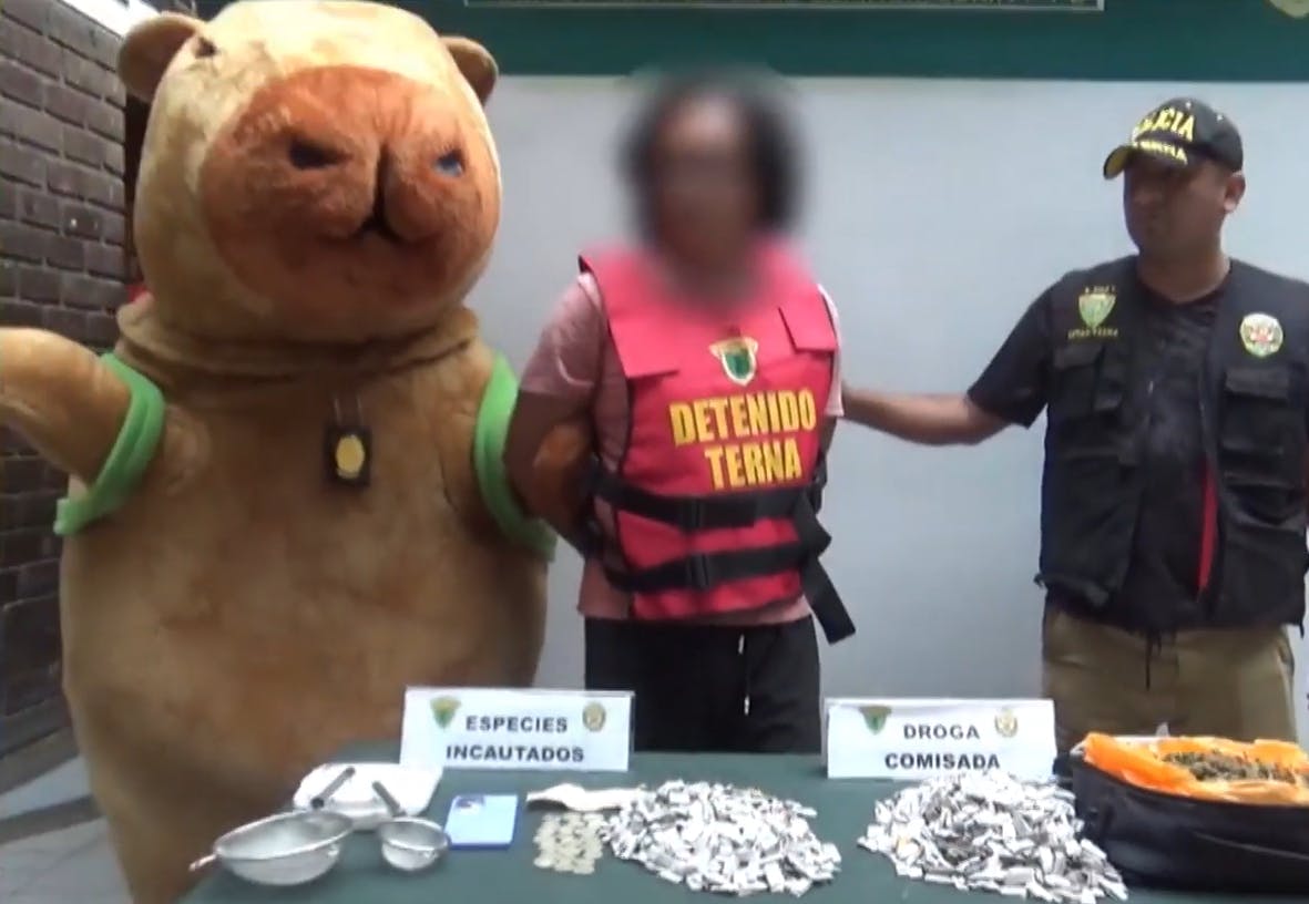 Perú sorprende con capibara policía: Detuvo a traficante de drogas