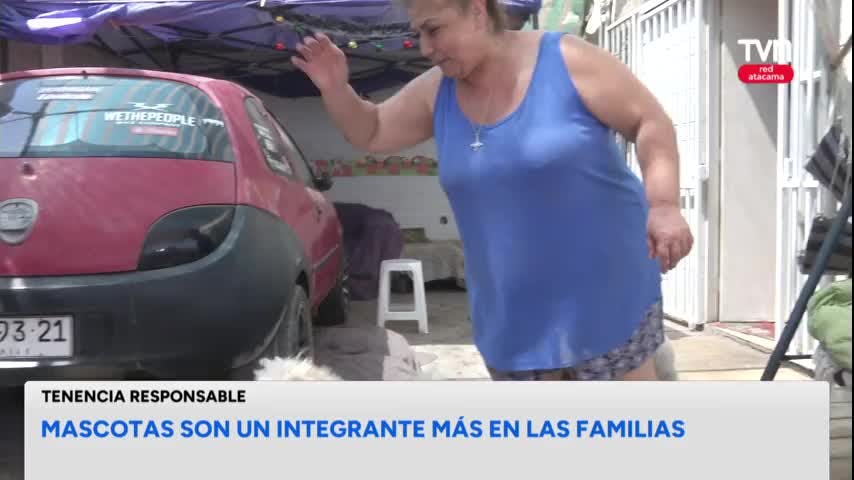 Mascotas y la vida en familia