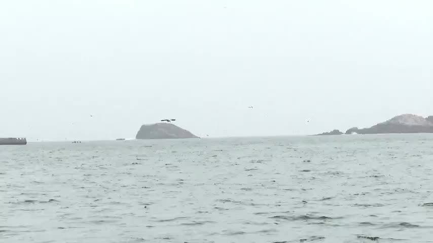Lancha sardinera Magdalena II se fue a pique al sur de Tumbes