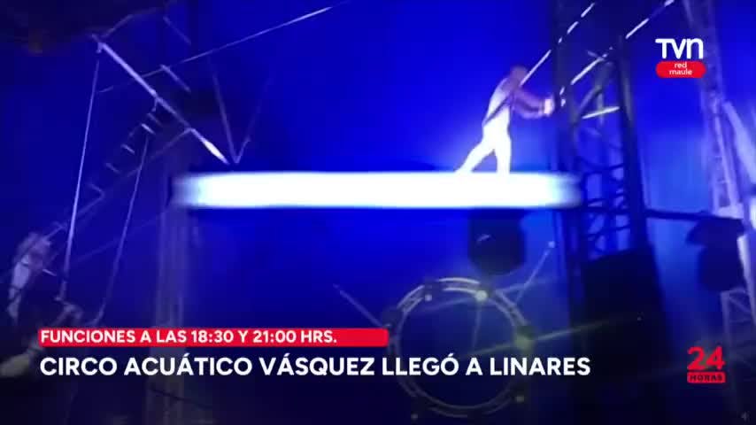 Circo acuático en Linares, Chivo al palo en Pehuenche y Trilla en Vichuquén