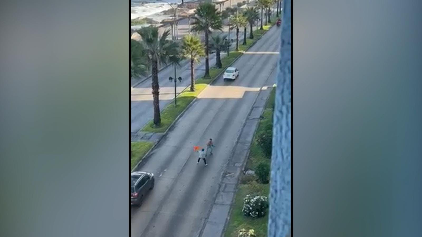 Violentas agresiones se registraron este fin de semana  en plena vía pública en Antofagasta 