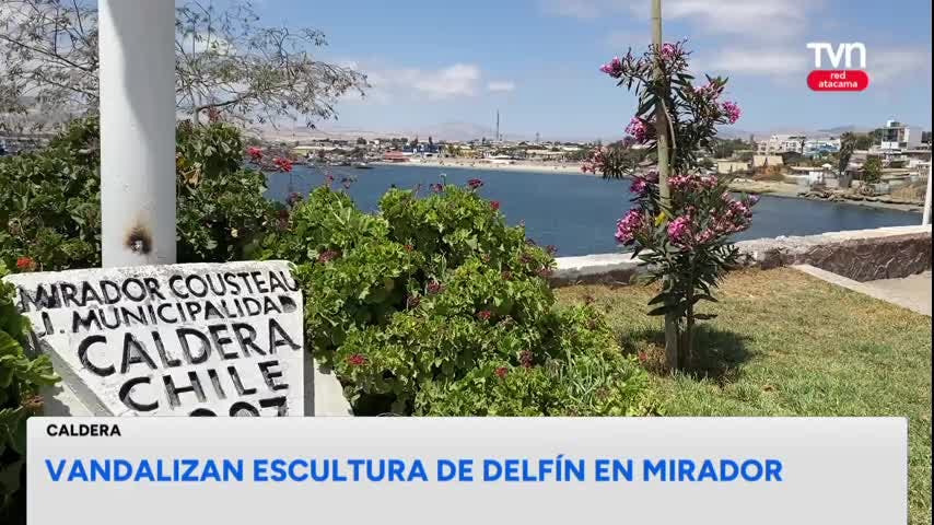 Vandalizan reconocida escultura de delfín en Caldera