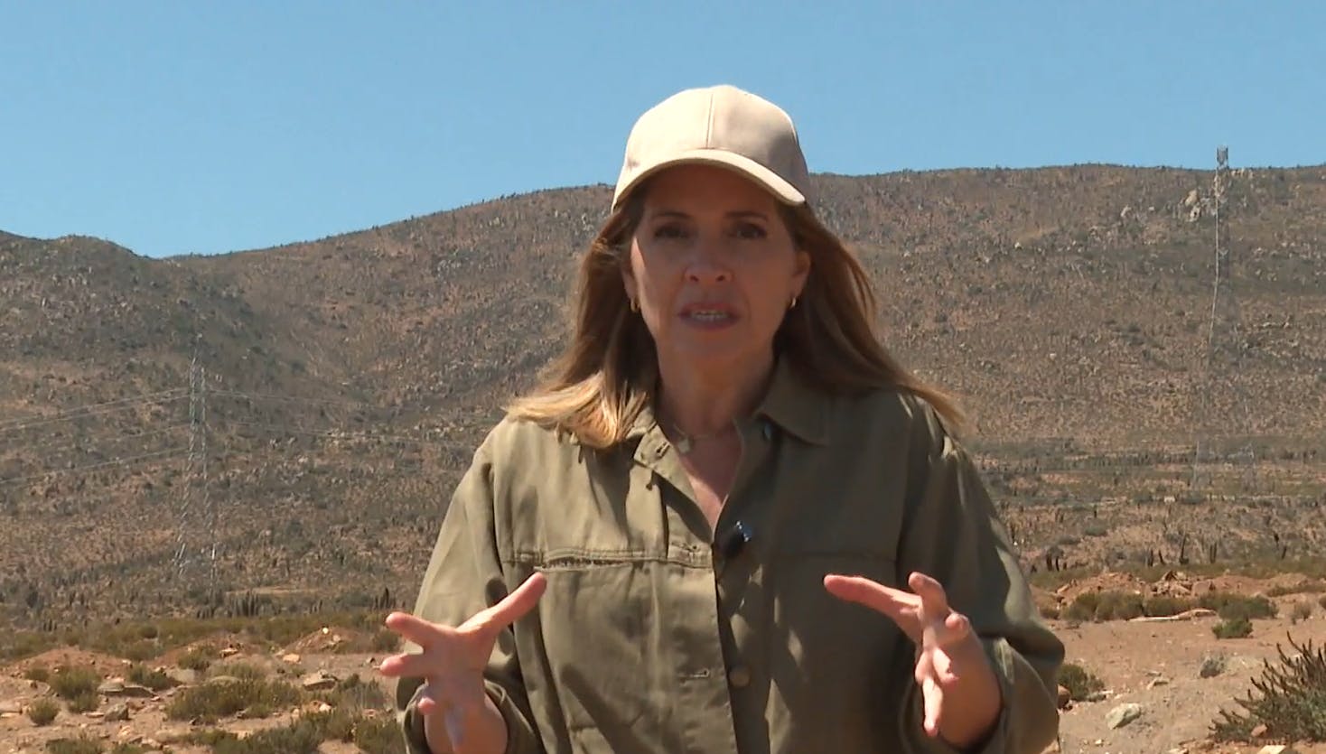 Las operaciones de la PDI para impedir que Chile sea el "paraíso" del cultivo de marihuana 