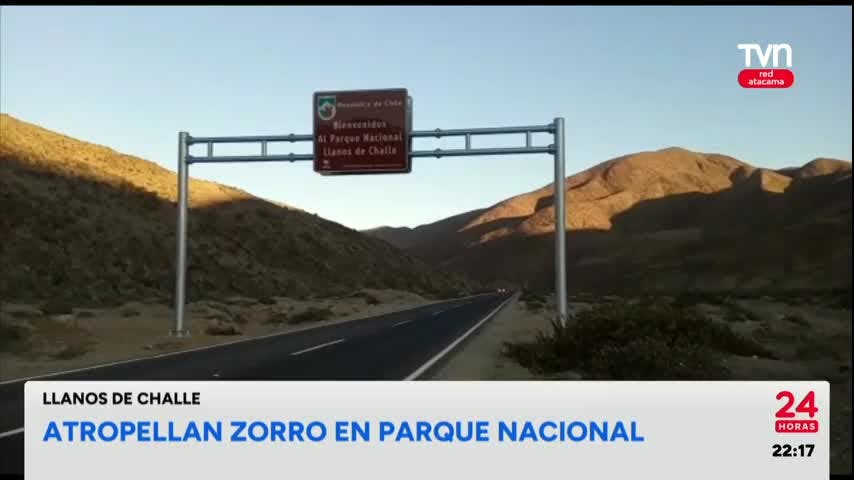 24 Horas Central Red Atacama - 3 de Marzo 2025
