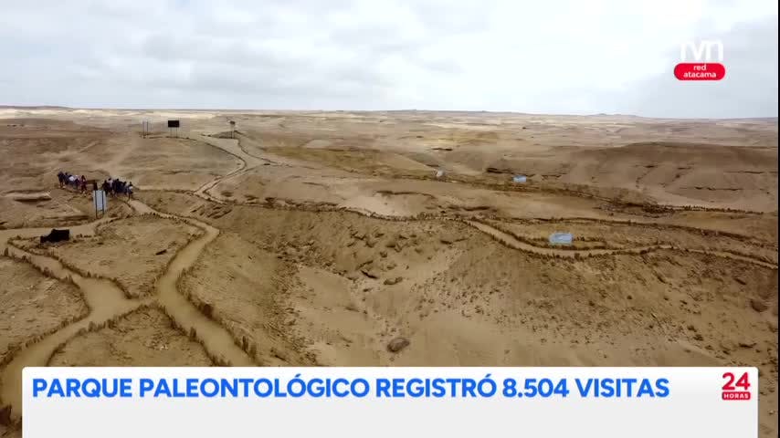 Más de 8 mil personas visitaron Parque Paleontológico