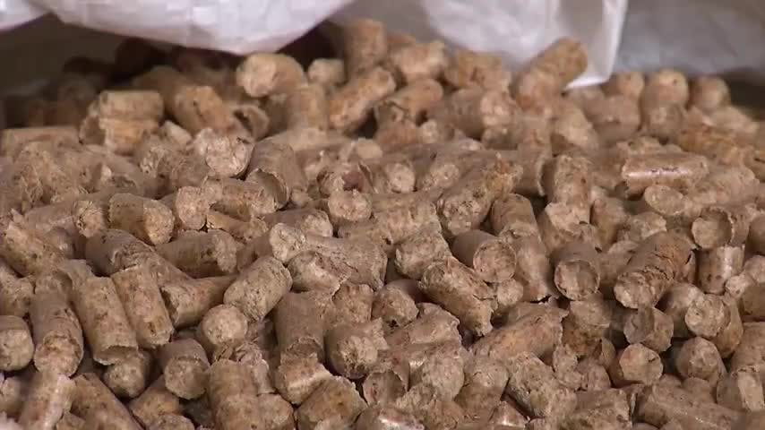 Productores de pellet aseguran abastecimiento para el invierno