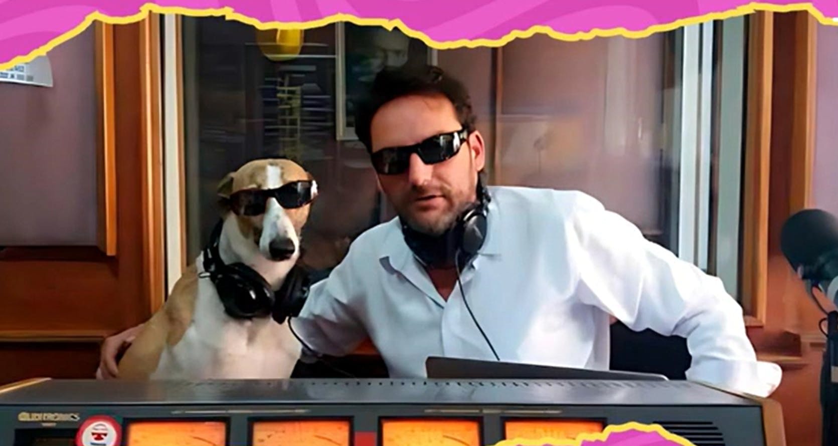 El particular nombre del perrito galgo de Daniel Fuenzalida 