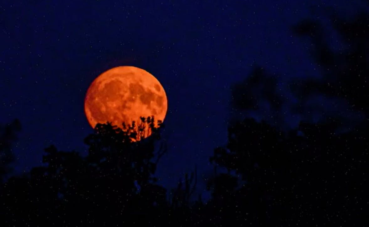 Así afectará la luna de sangre a cada signo del zodiaco 
