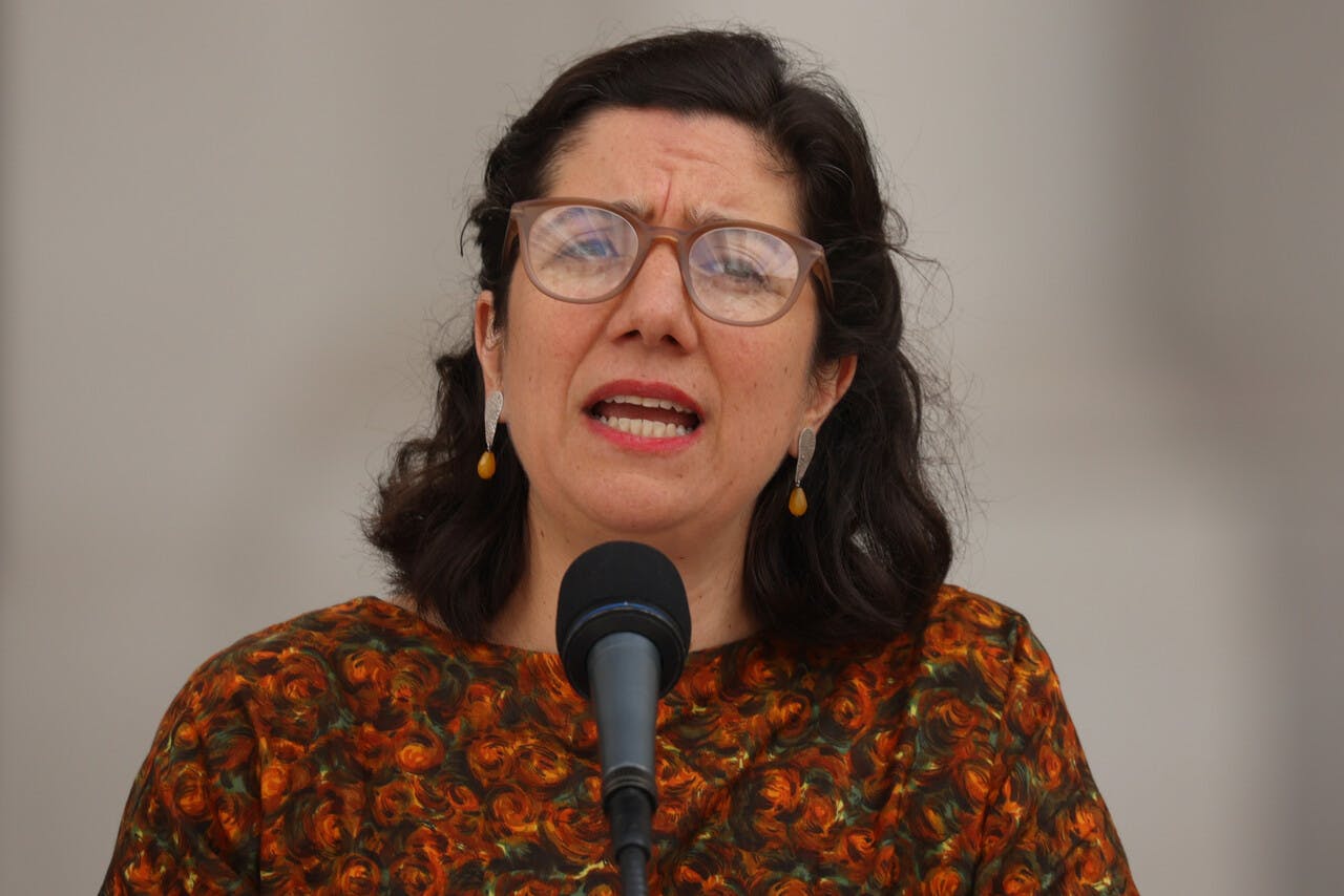 Ministra Etcheverry por salida de Maya Fernández: "Fue parte de su propia decisión dar este paso al costado"