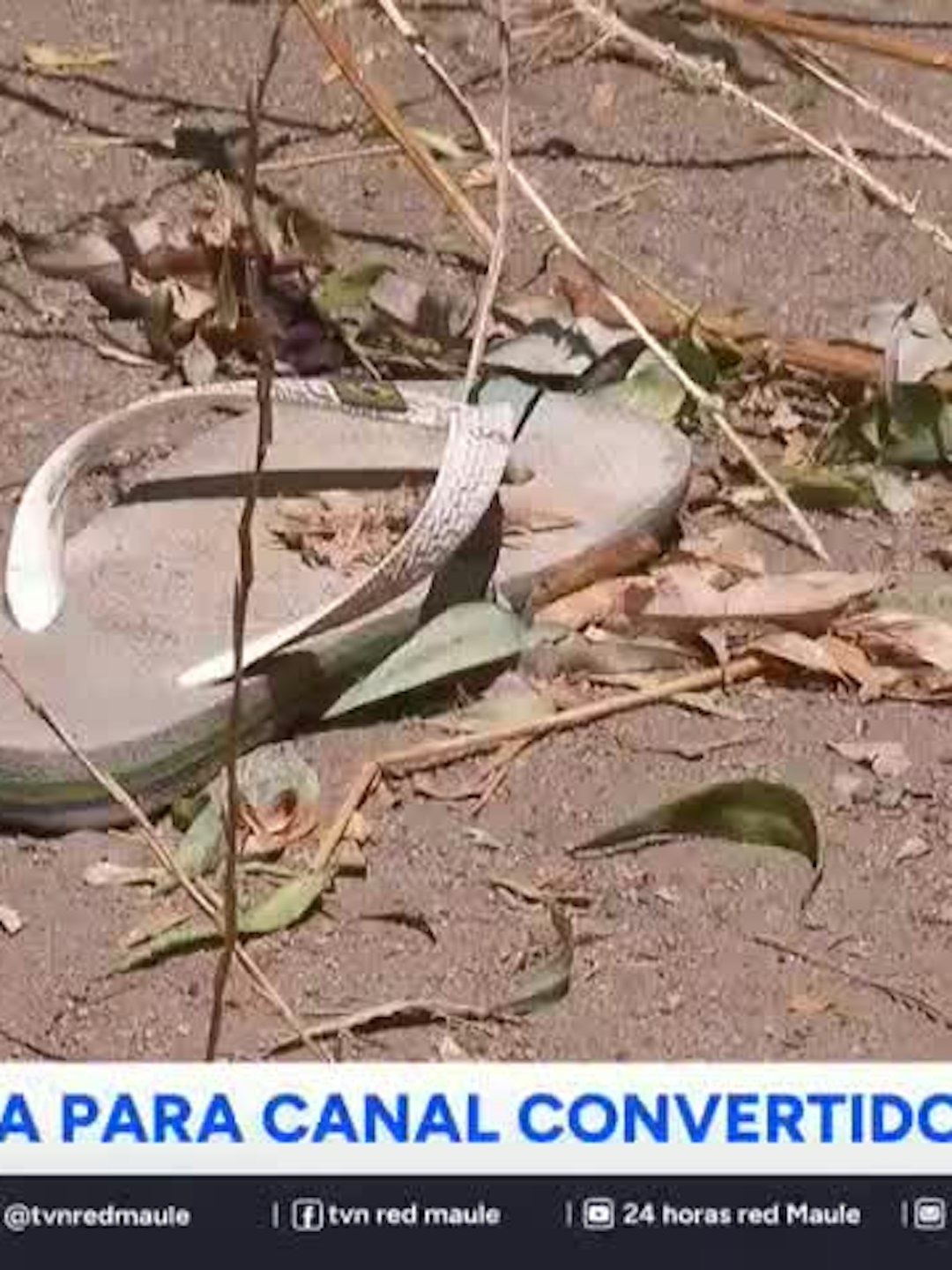 Evalúan cerca para canal convertido en basural