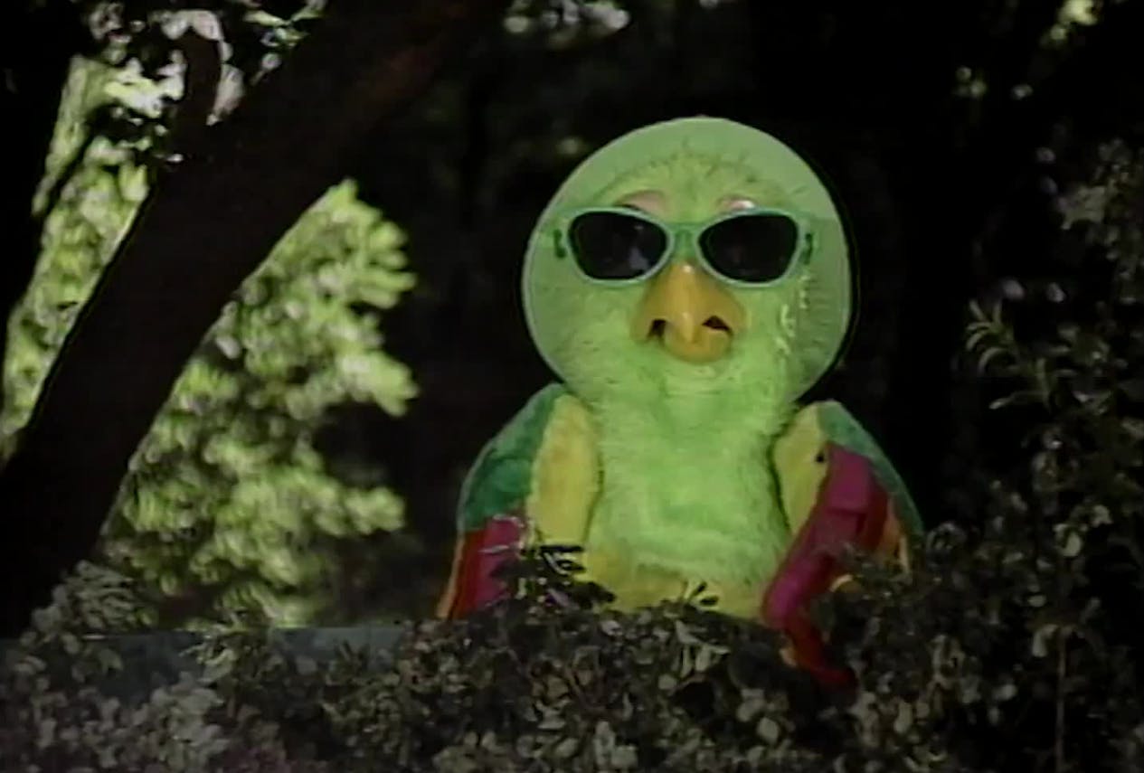 Arboliris - T1E122
