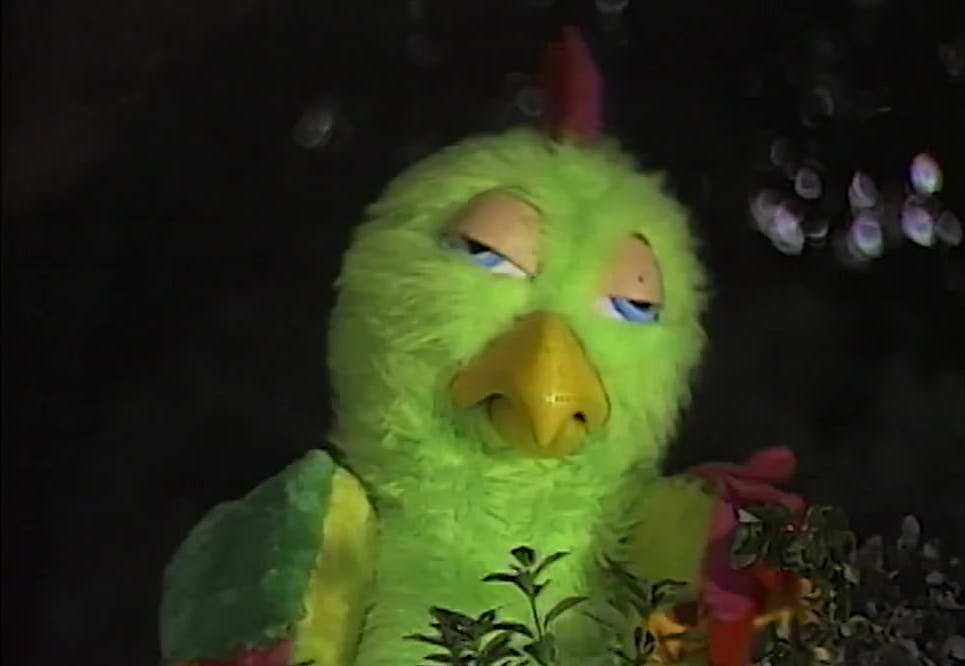 Arboliris - T1E118