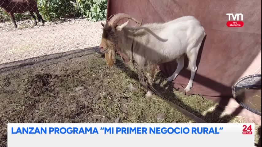 Lanzan programa “Mi Negocio Rural”