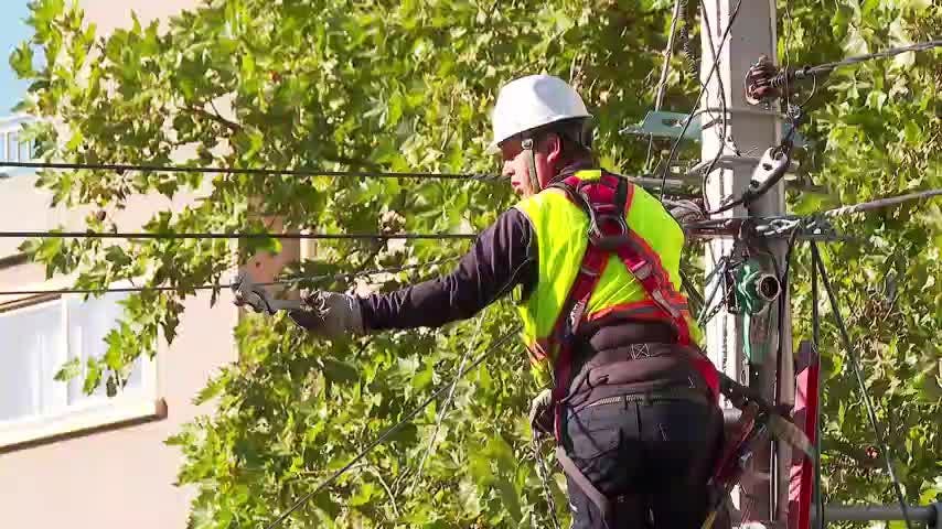 Anuncian demanda por postes derribados por camión
