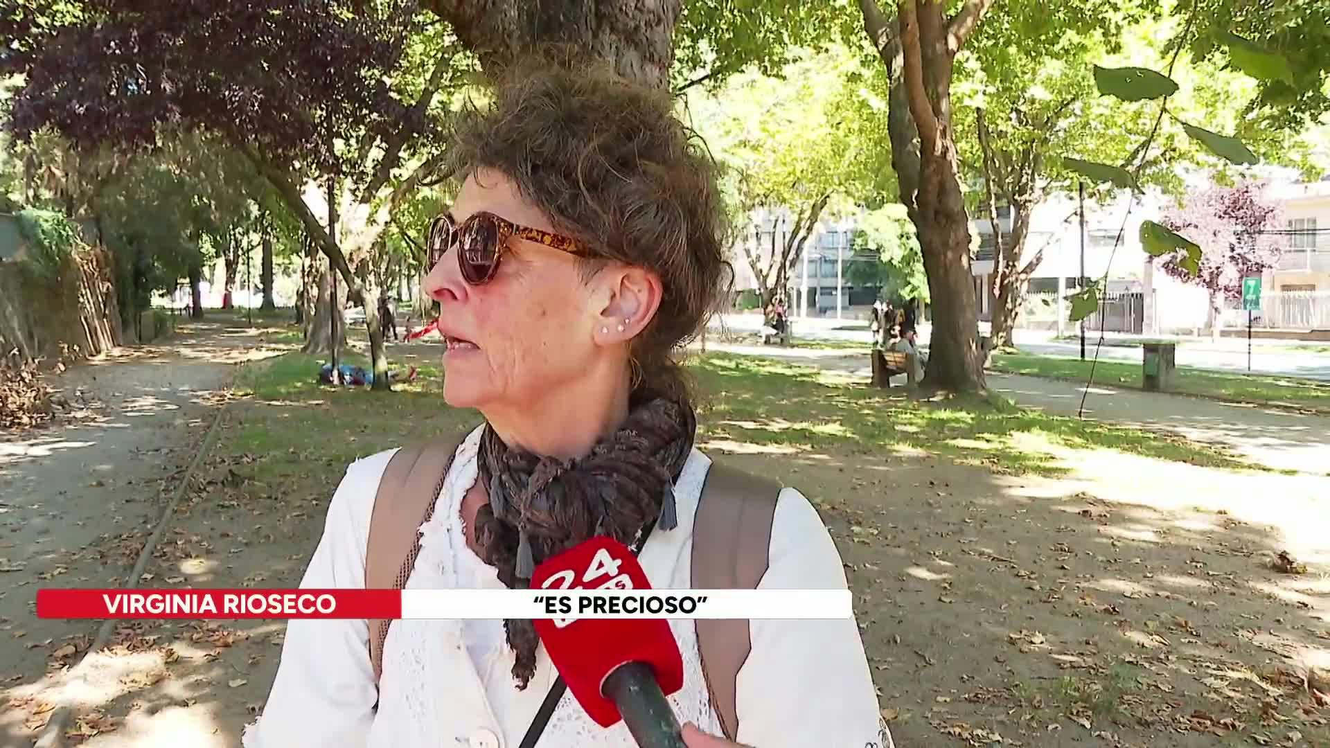 Venden histórica Casona Wilhelm de Concepción: Avaluada en $1.400 millones