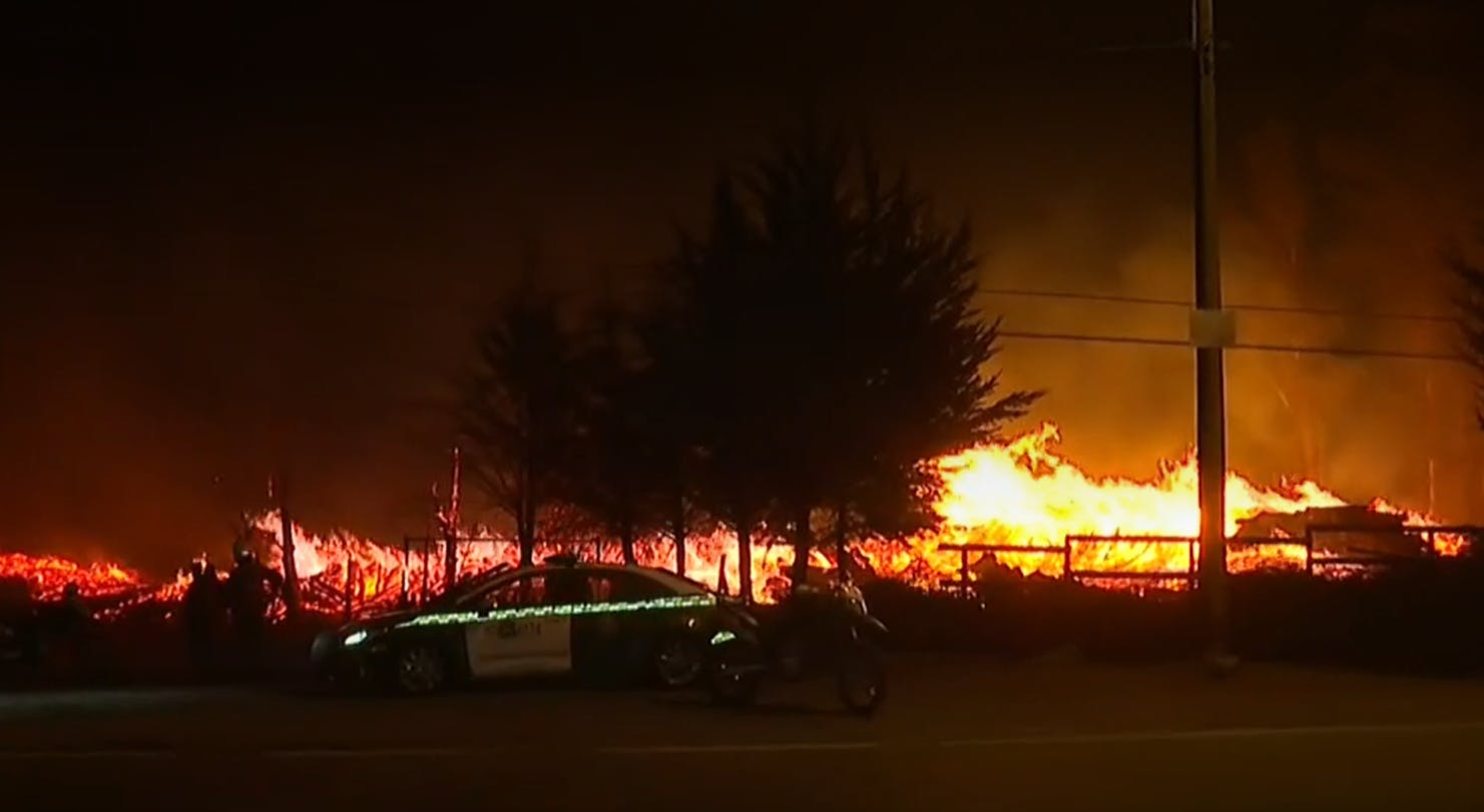 Incendio forestal está descontrolado en Traiguén: el fuego amenaza viviendas