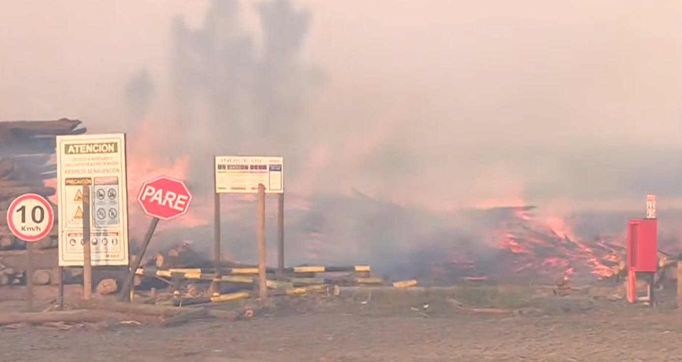 Zonas afectadas, posible intencionalidad y temperaturas: Lo que se sabe de los incendios en el sur