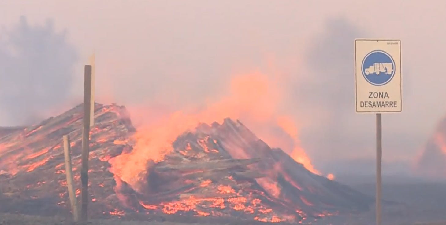 Investigan intencionalidad de incendios forestales en Hualqui y Santa Juana 