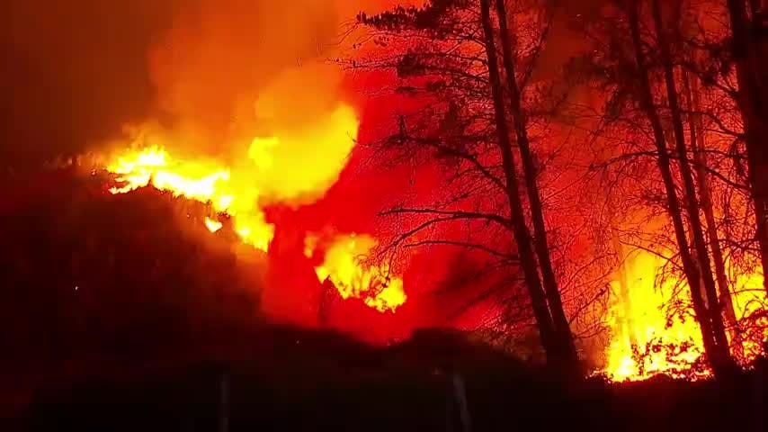 Más de 2 mil hectáreas arrasadas por incendio en Hualqui