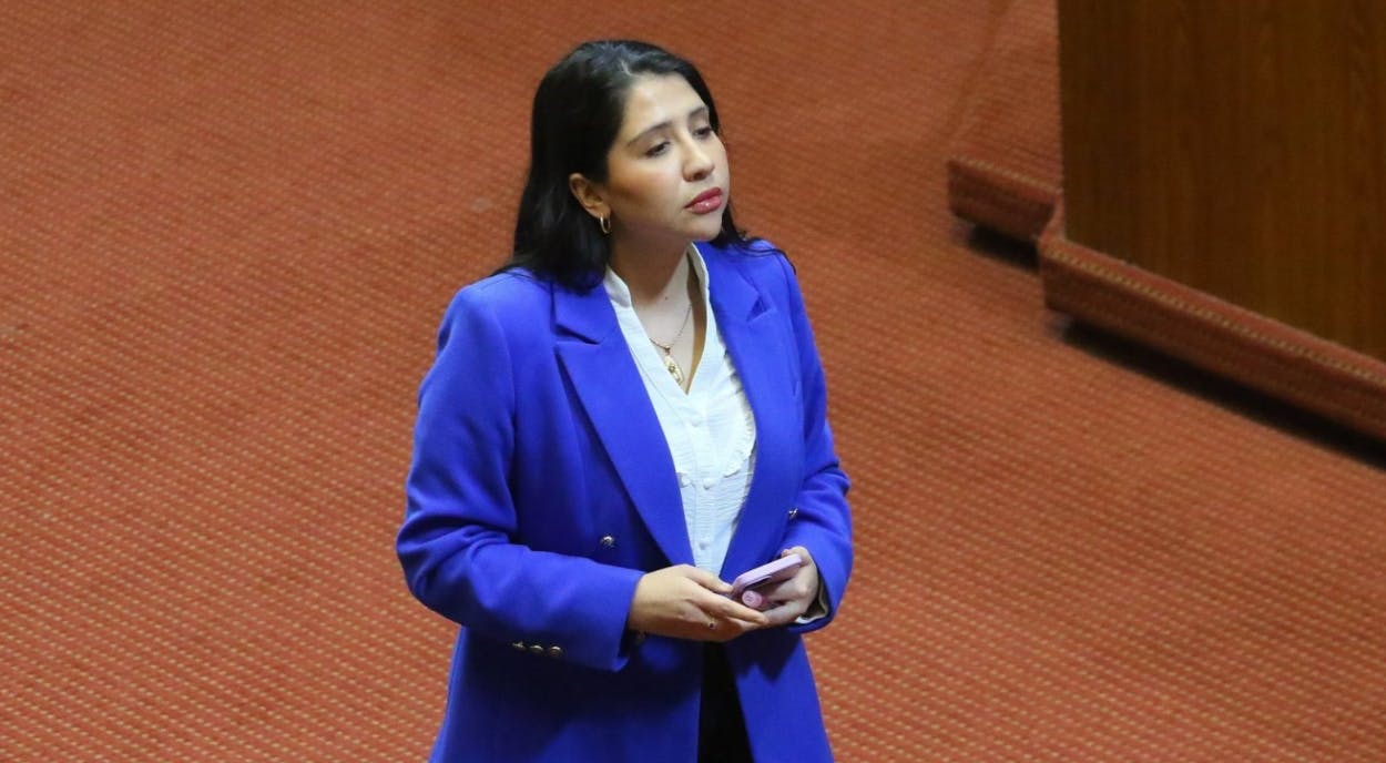 Diputada Consuelo Veloso choca tras sufrir robo: Iba en estado de ebriedad 
