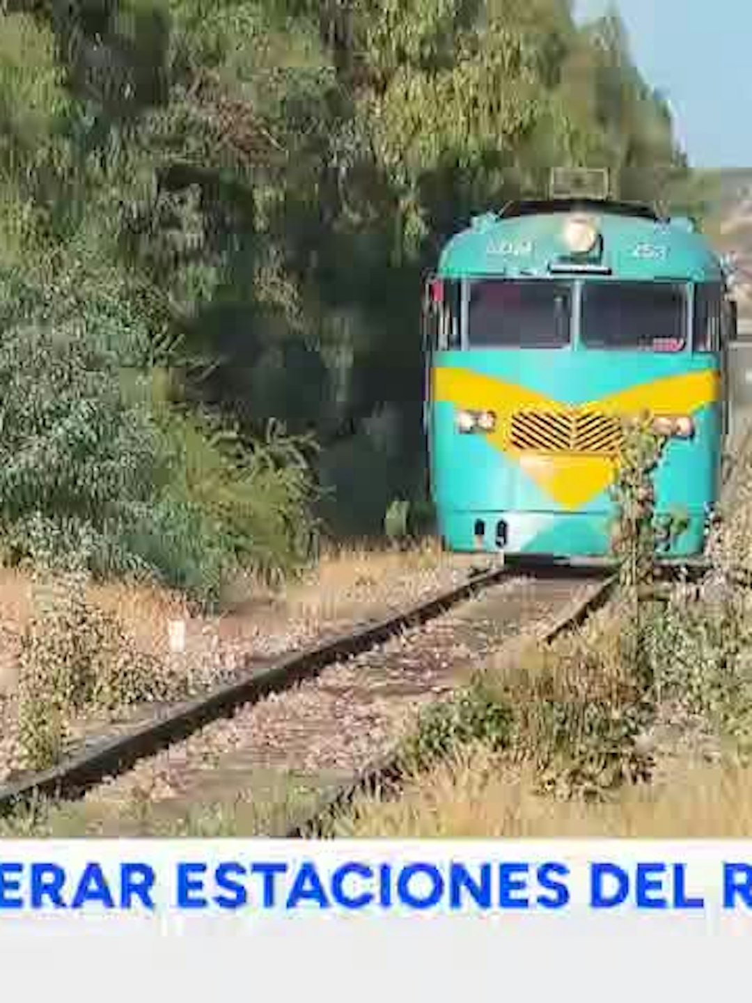 Usuarios del ramal Talca Constitución exigen recuperar estaciones