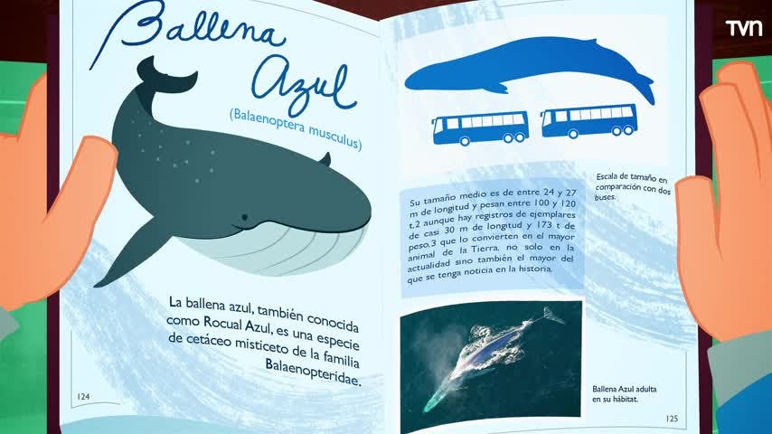 Ballena Azul | Los fantásticos viajes de Ruka - Capítulo 3 