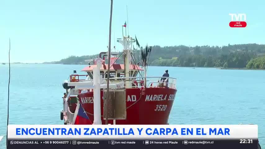 Encuentran zapatilla y carpa en el mar
