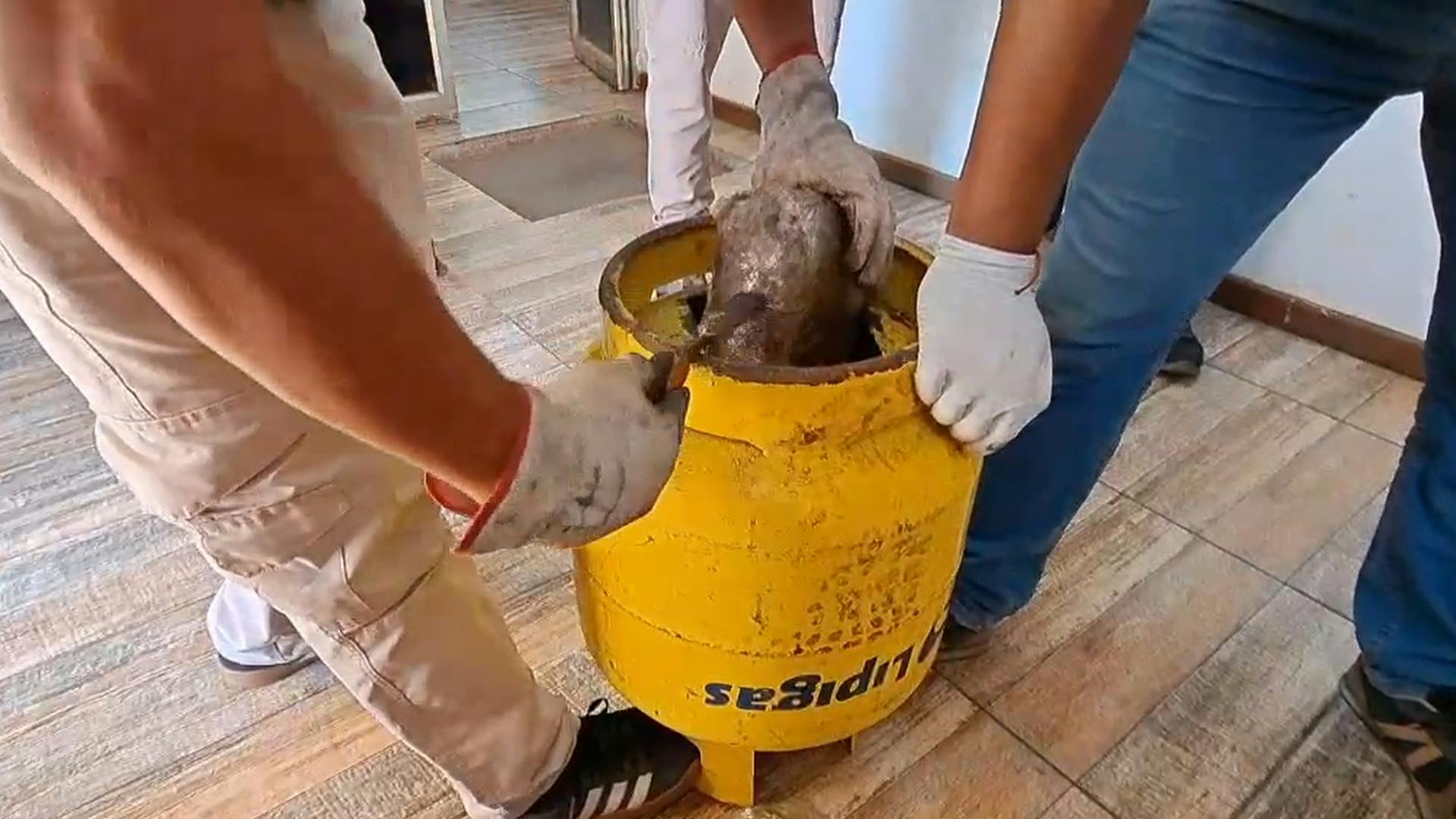 Carabineros en dos operativos decomisa distintos tipos de droga