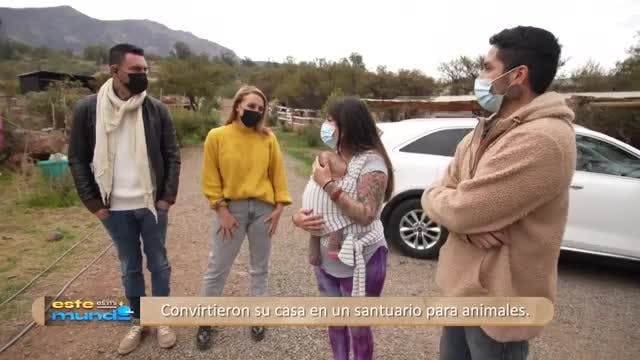 Animalistas | Este es mi mundo - T1E18