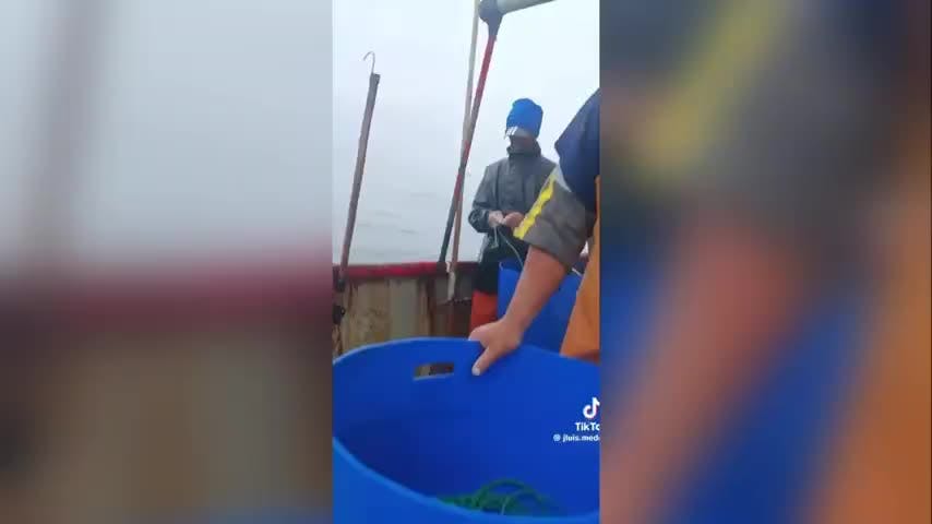 Dos semanas del naufragio del Bruma