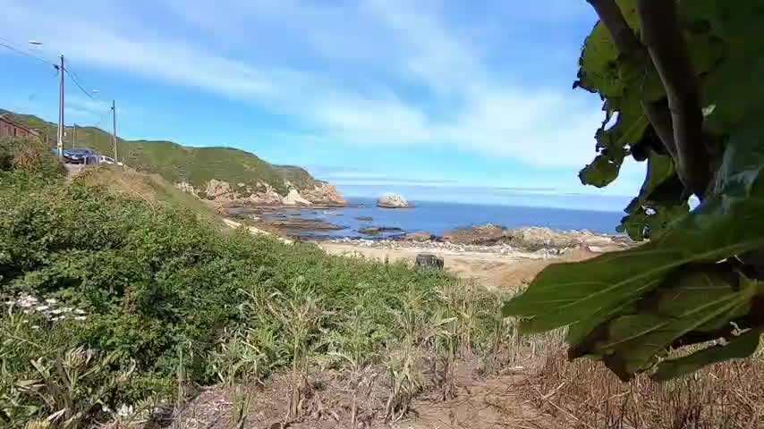 Diputados ofician al gobierno para adquirir parte de Peninsula de Hualpén