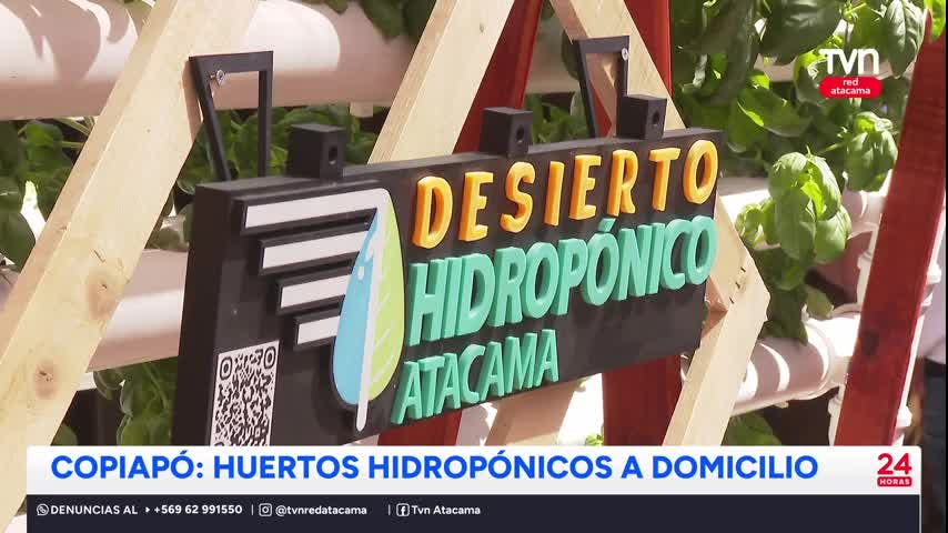 Copiapó: Huertos hidropónicos a domicilio