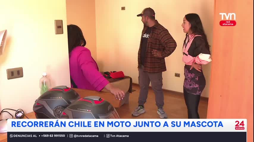 Copiapinos recorrerán Chile en moto junto a su mascota