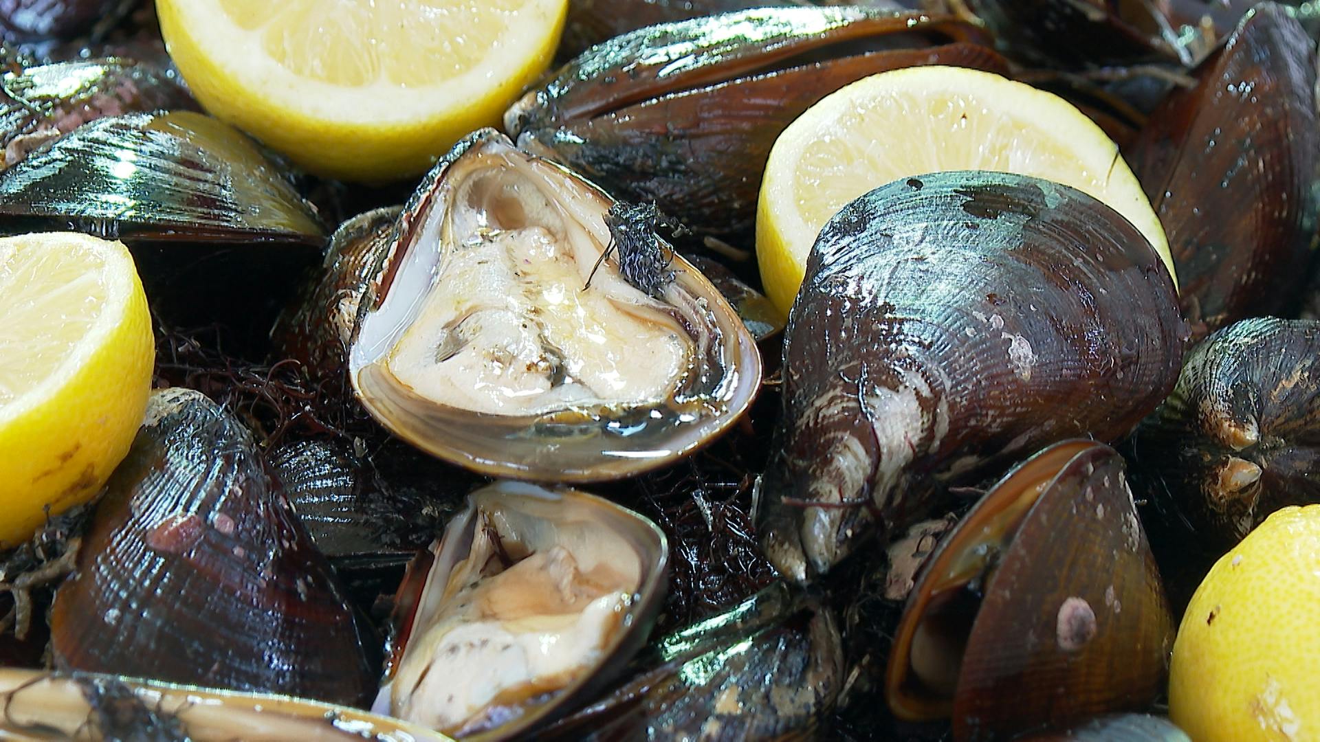 Aumenta venta de pescados y mariscos: Los infaltables de Semana Santa