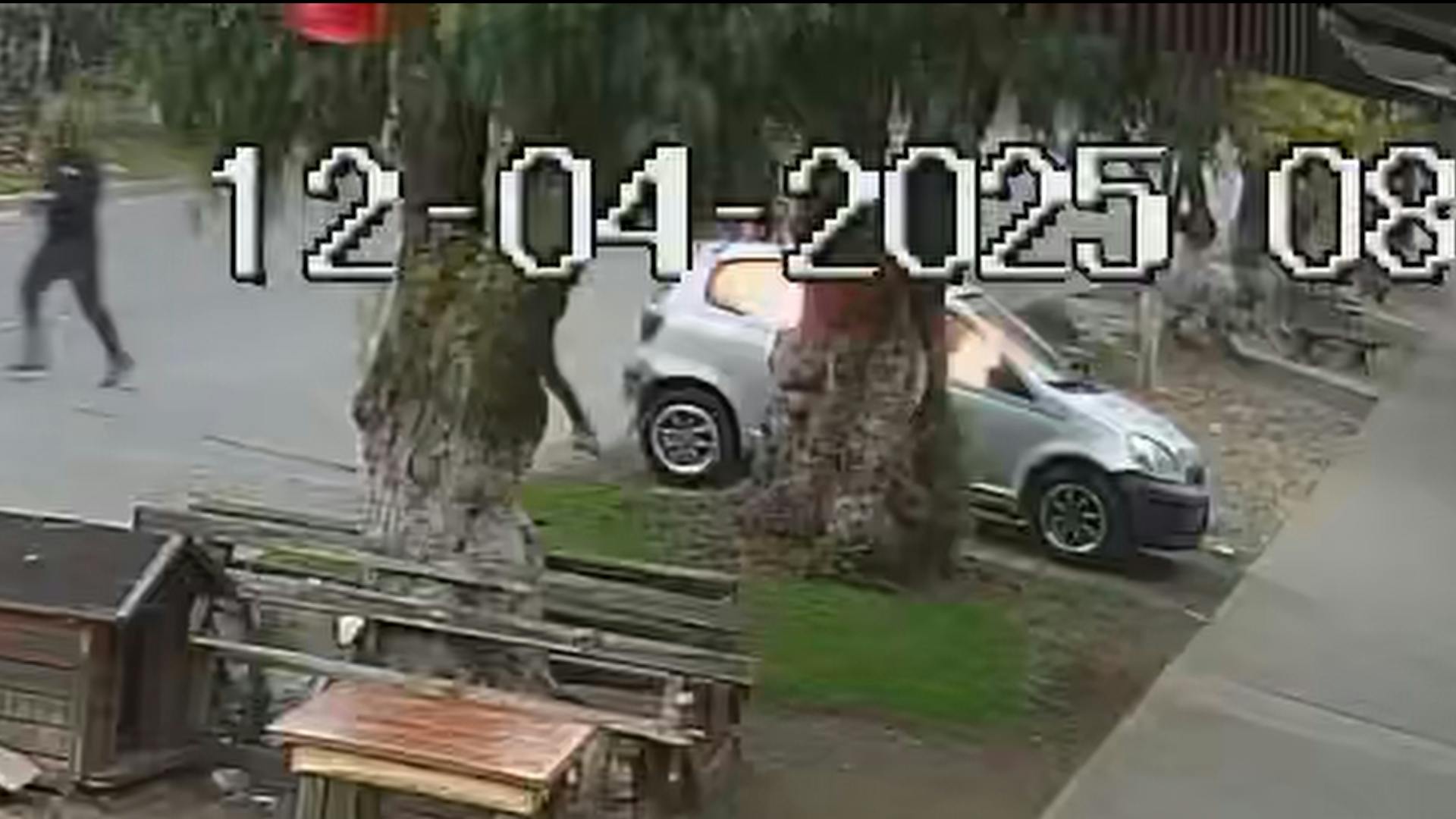 Ataque incendiario a ex concejal de Teno podría responder a un amedrentamiento
