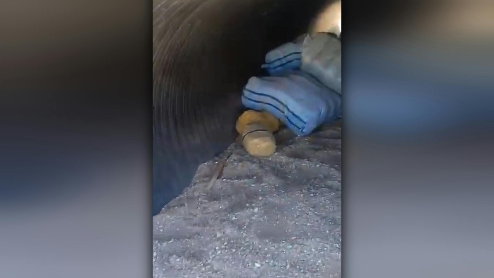 Carabineros descubre casi media tonelada de droga oculta en pleno desierto 