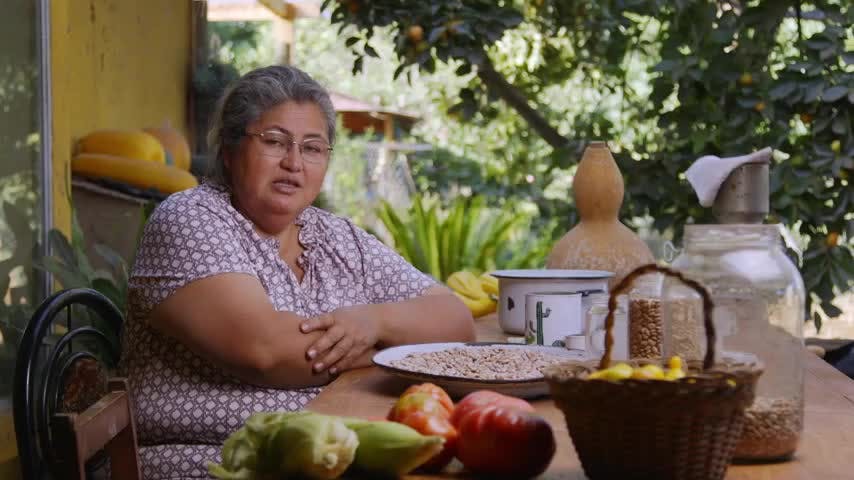 Semillitas de Biodiversidad: Proceso de selección de semillas