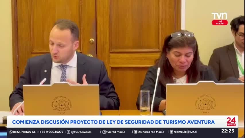 Proyecto "ley Diego"