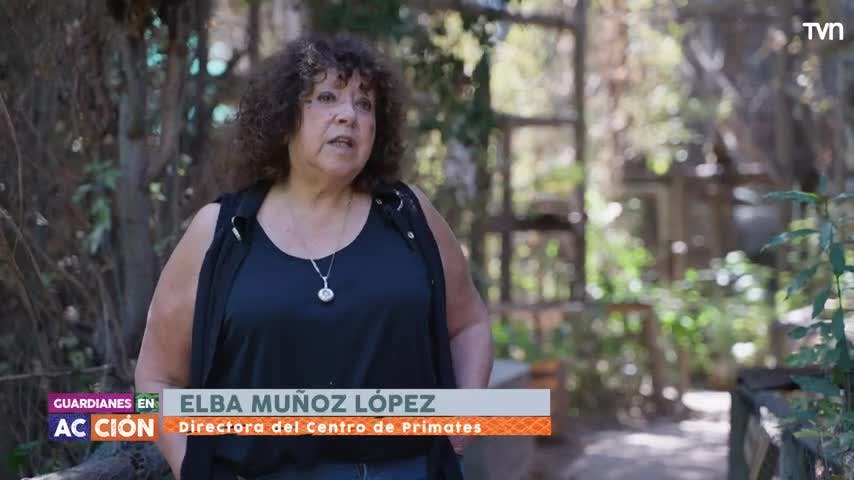 En la sección "Guardianes en acción", conocemos a Elba Muñoz López