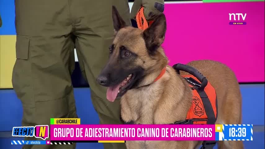 Día del Carabinero en Efecto N 