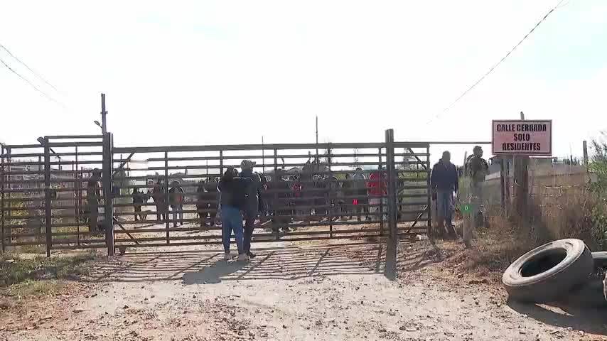 Arriendos caros y bajos ingresos como factor común de familias en campamentos según Techo Chile