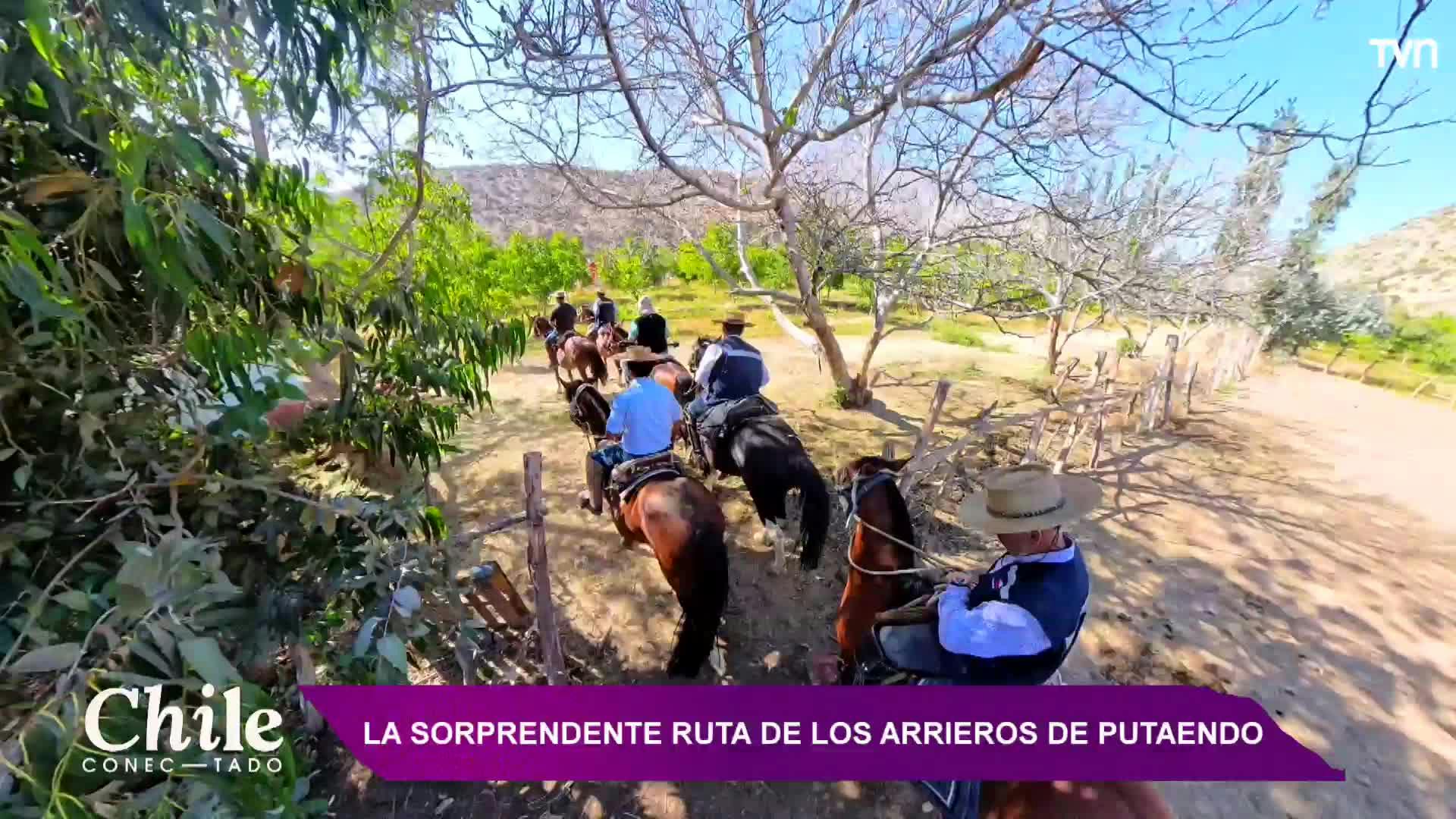 Chile Conectado: Capítulo 3 de mayo de 2025