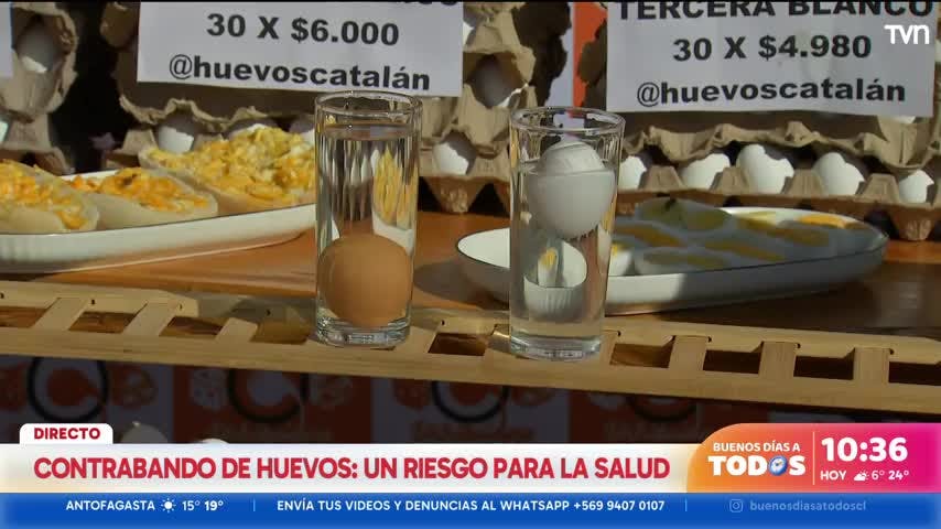¿Sepa cómo identificar si un huevo está en buen estado?
