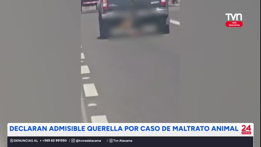 Declaran admisible querella por maltrato animal