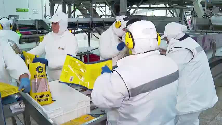 PacificBlu anuncia cierre por reducción en cuota de la merluza