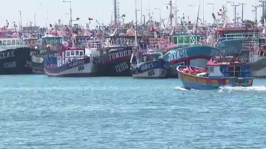 Parlamentarios solicitan renuncia de Ministro Grau y Subsecretario de Pesca