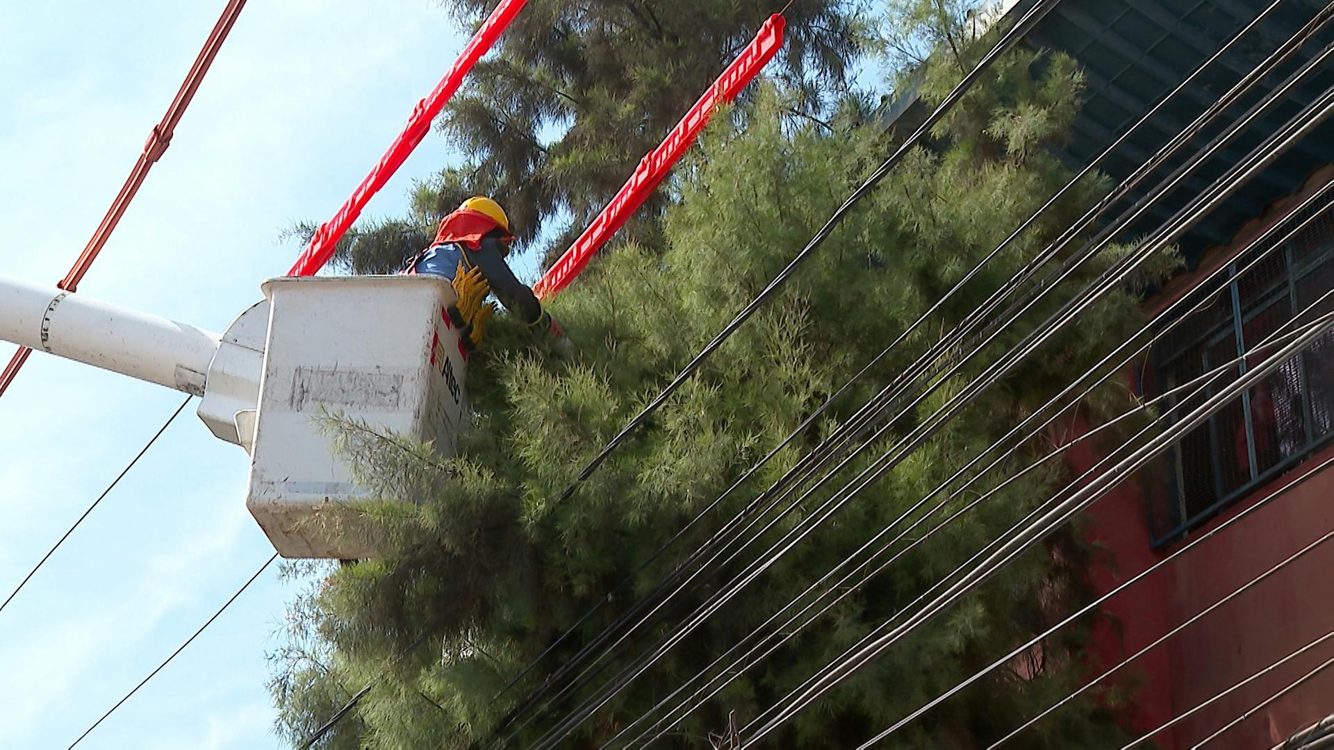 CGE comenzó trabajos preventivos en plan de invierno