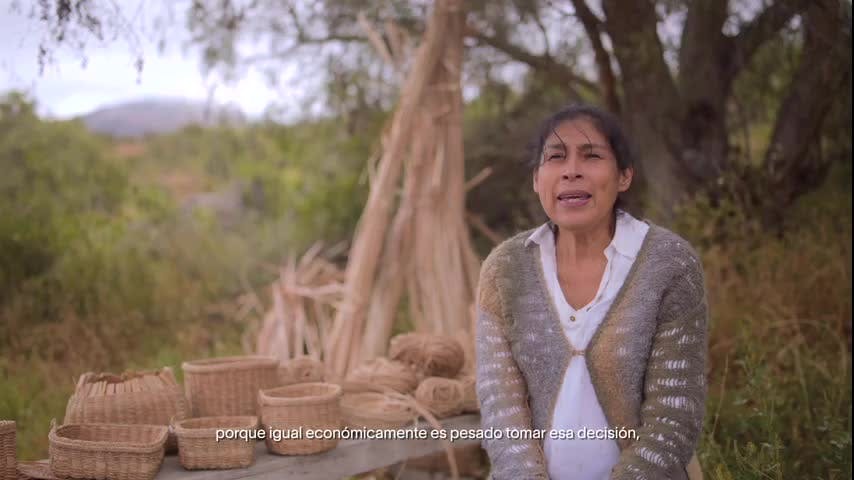Identidad hecha a mano: Cestería en totora