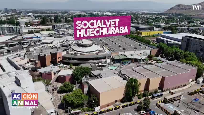 Acción Animal, con Sebastián Jiménez: Capítulo 17